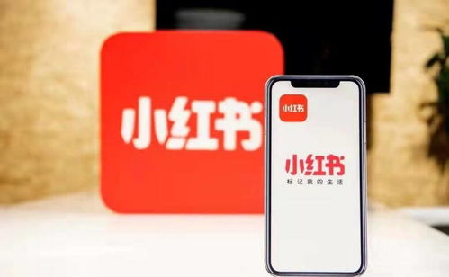 杭州噫融網(wǎng)絡(luò) 以專業(yè)運(yùn)營(yíng)驅(qū)動(dòng)小紅書(shū)種草推廣，助力計(jì)算機(jī)軟硬件品牌搶占市場(chǎng)先機(jī)